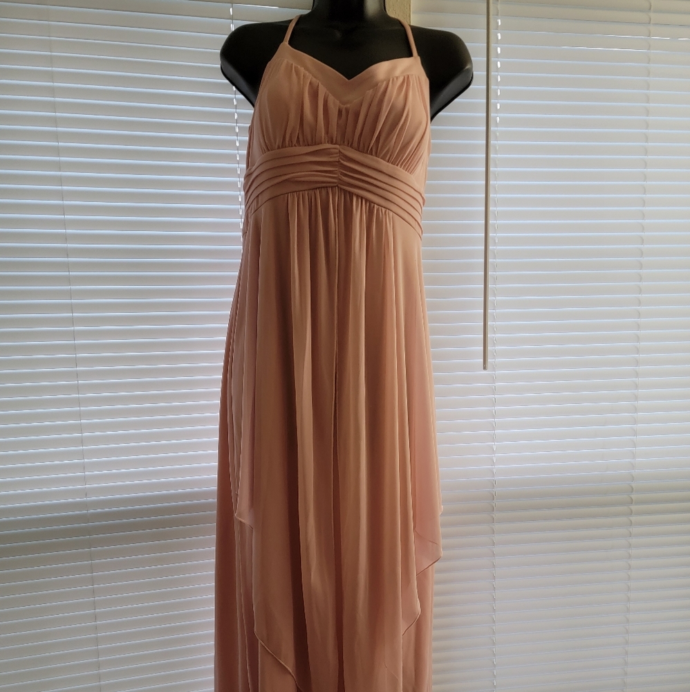 Blush long dress